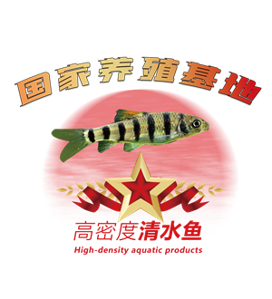 T恤
