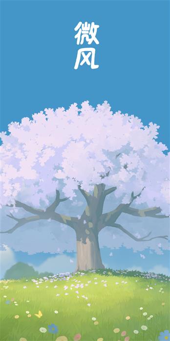 手机壳