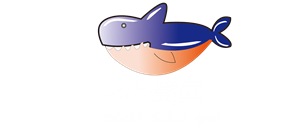 卫衣