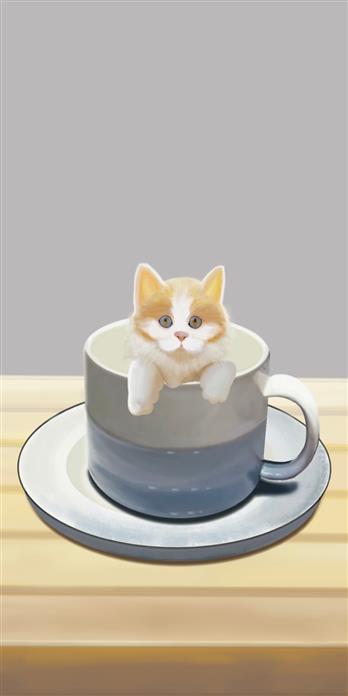 手机壳
