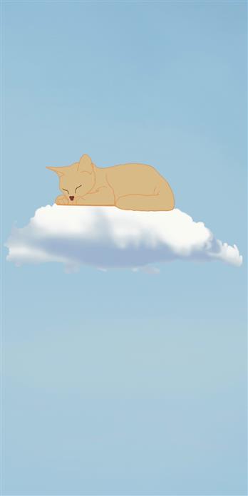 手机壳