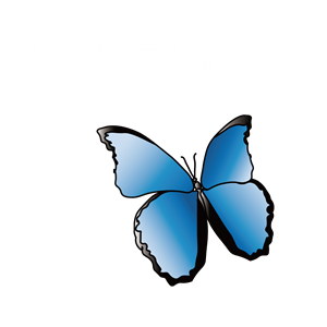 卫衣