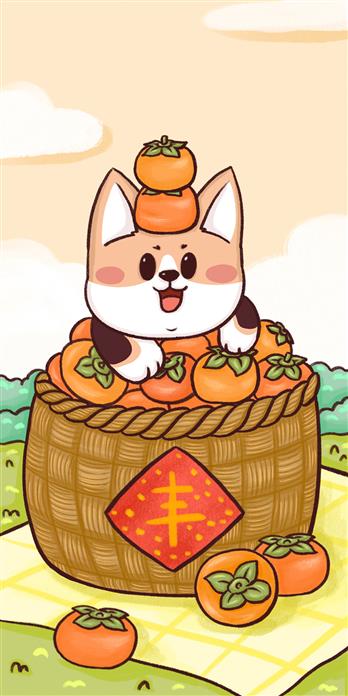 手机壳