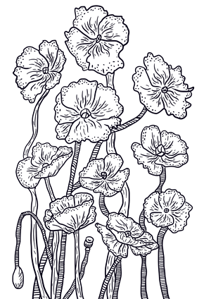 帆布袋