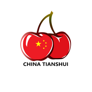 T恤
