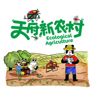 卫衣